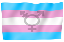 1000184128.png 1000184128.png